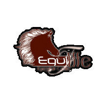 Equieffe Equestrian Centre Sticker