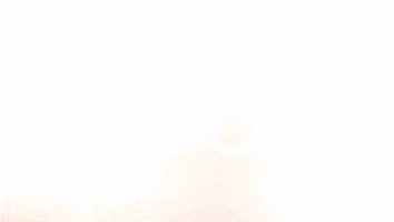 Celebration Goal GIF by FC Red Bull Salzburg