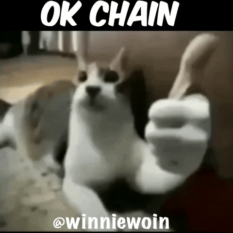 Ok GIF