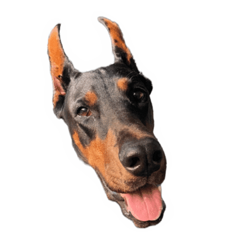 Sticker by Hubtic