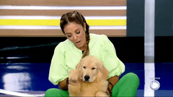 Dog Pet GIF by Record TV