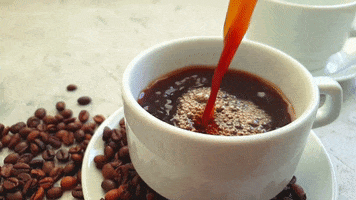 Good Morning Buenos Dias GIF by Berk's Beans Coffee