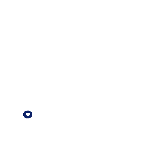 Hyundai Slovenia Sticker