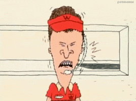 beavis and butthead 90s GIF