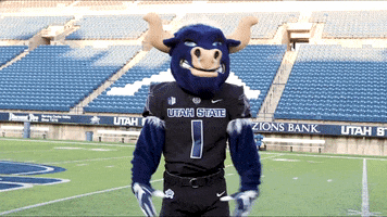 Disappointed No Way GIF by Utah State University