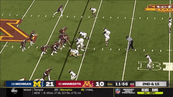 Minnesota GIF