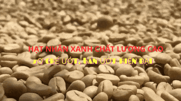 Coffee GIF