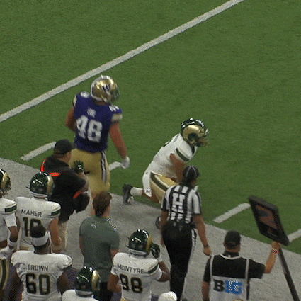 Bow Down University Of Washington GIF by Washington Athletics
