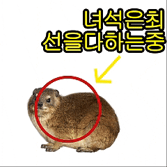 Earthjota GIF