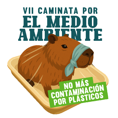 Corporación Autónoma Regional de Risaralda CARDER Sticker