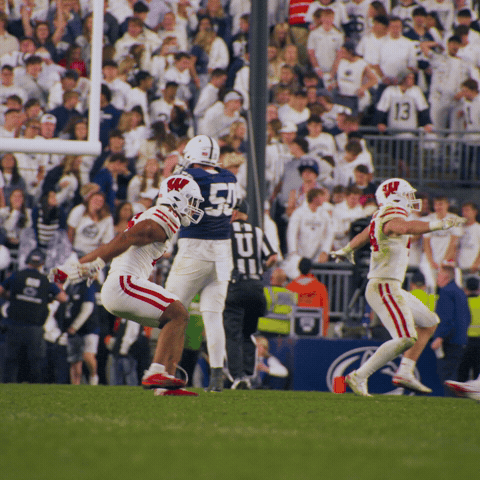 College Football Win GIF by Wisconsin Badgers