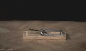 vs mouse GIF