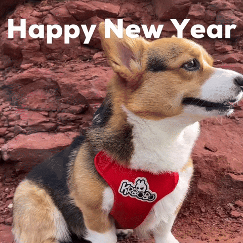 Happy New Year Dog GIF