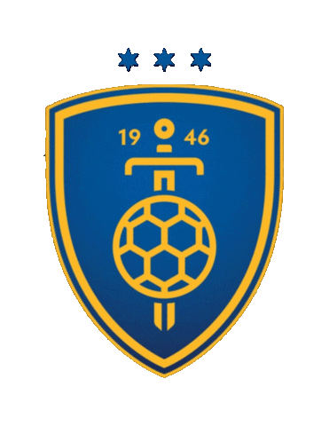 RK CELJE Sticker