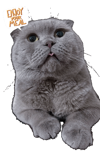 Cat Enjoy Sticker