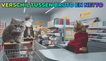 Netto GIF