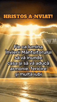 tonypoptamas-hristos-a-inviat-a-nviat-pate-fericit-t6MxShJMQTuWHWFw6z