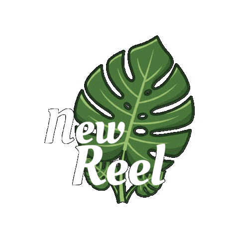 Deepbreathgreenleaves Sticker