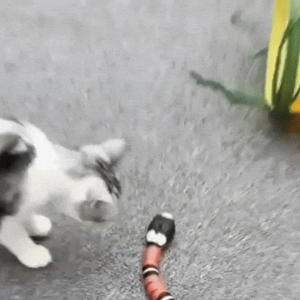 Smart Sensing Snake - Easytimess