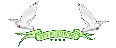 Spa Dachi Sticker by Курортный клуб «Dачi»