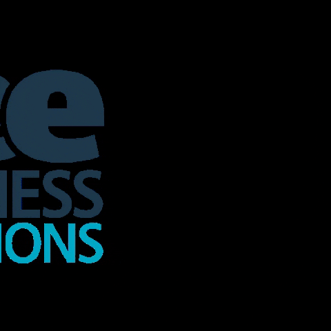 SEEbusinessSolutions business see seebusiness seebusinesssolutions GIF