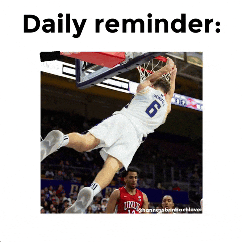 Hannessteinbachlover GIF