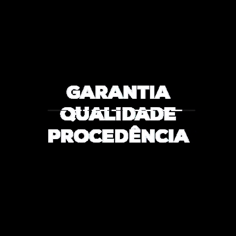 Ford Truck GIF by São Cristóvão Caminões