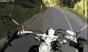 stay motorcycles GIF