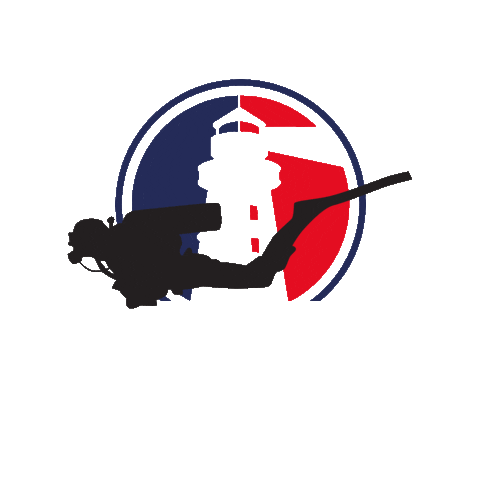 Diving Scuba Sticker by Valsugana Rugby Padova