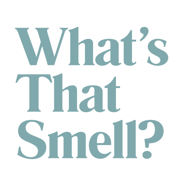 Smell Sticker by P.F. Candle Co.