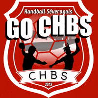 Hand Ball GIF by Club Handball Séveragais