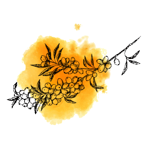 seaberryliquids Sticker