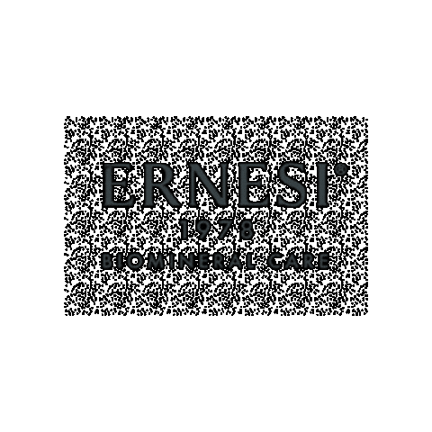 ERNESI 1978 Sticker