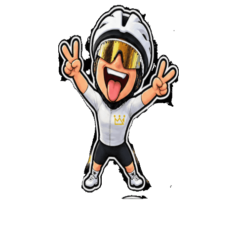 Sticker by Prinzbike