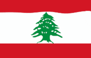 Lebanese Flag Lebanon GIF