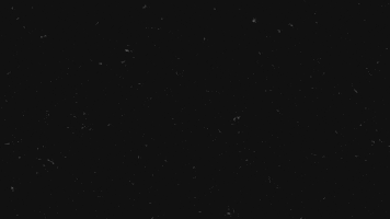Ai GIF