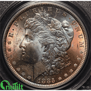 nutilt coins 1885 numismatics nutilt GIF