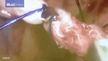 marcianos  GIF
