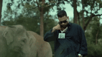 Music Video Swag GIF by Karan Aujla