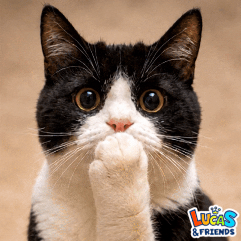 Oh No Omg GIF by Lucas and Friends by RV AppStudios