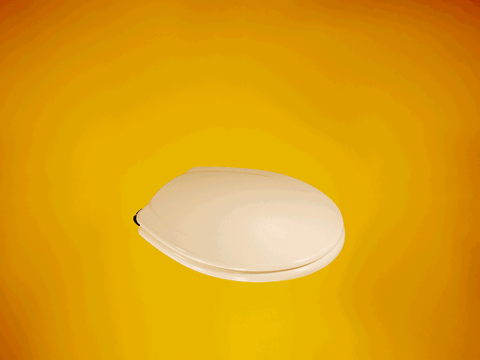 Coral Garvey animated GIF