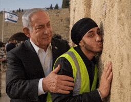 Bibi GIF