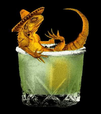 Margarita Iguana GIF by Dano's Dangerous Tequila