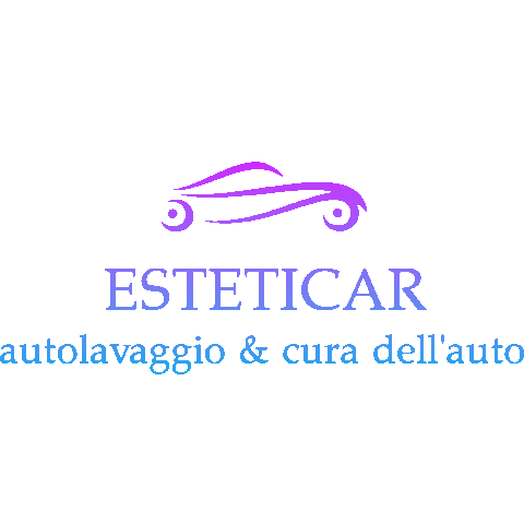 Car Detailing Sticker by Esteticar