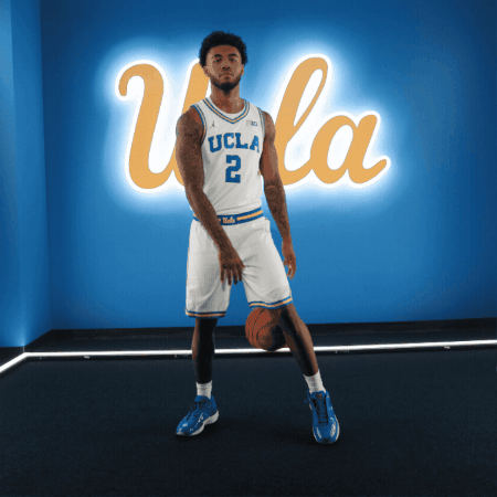 UCLAMBB GIF