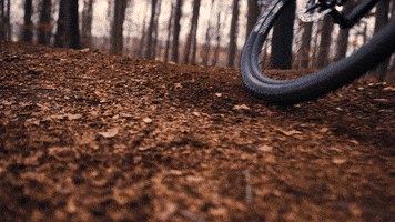 Merida Bikes GIF
