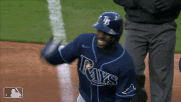 Happy Tampa Bay Rays GIF by MLB