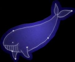 Whale GIF