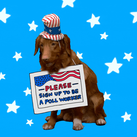 Video gif. Panting Golden Retriever, wearing an American flag top hat against a light blue background speckled in stars. The dog wears a sign around its neck that reads, “Please sign up to be a poll worker.”