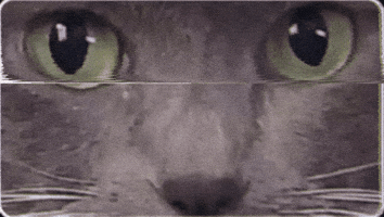 What GIF by PBS Brakes